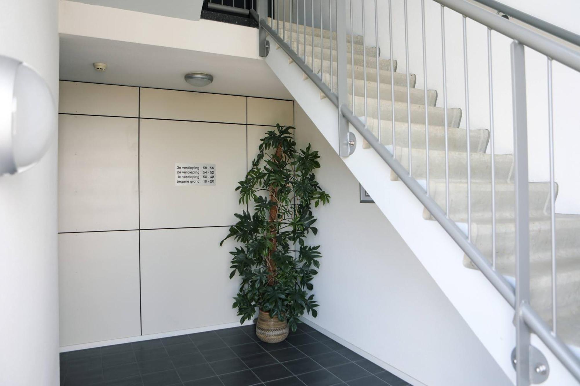 Strand Appartementen Wemeldinge Kültér fotó