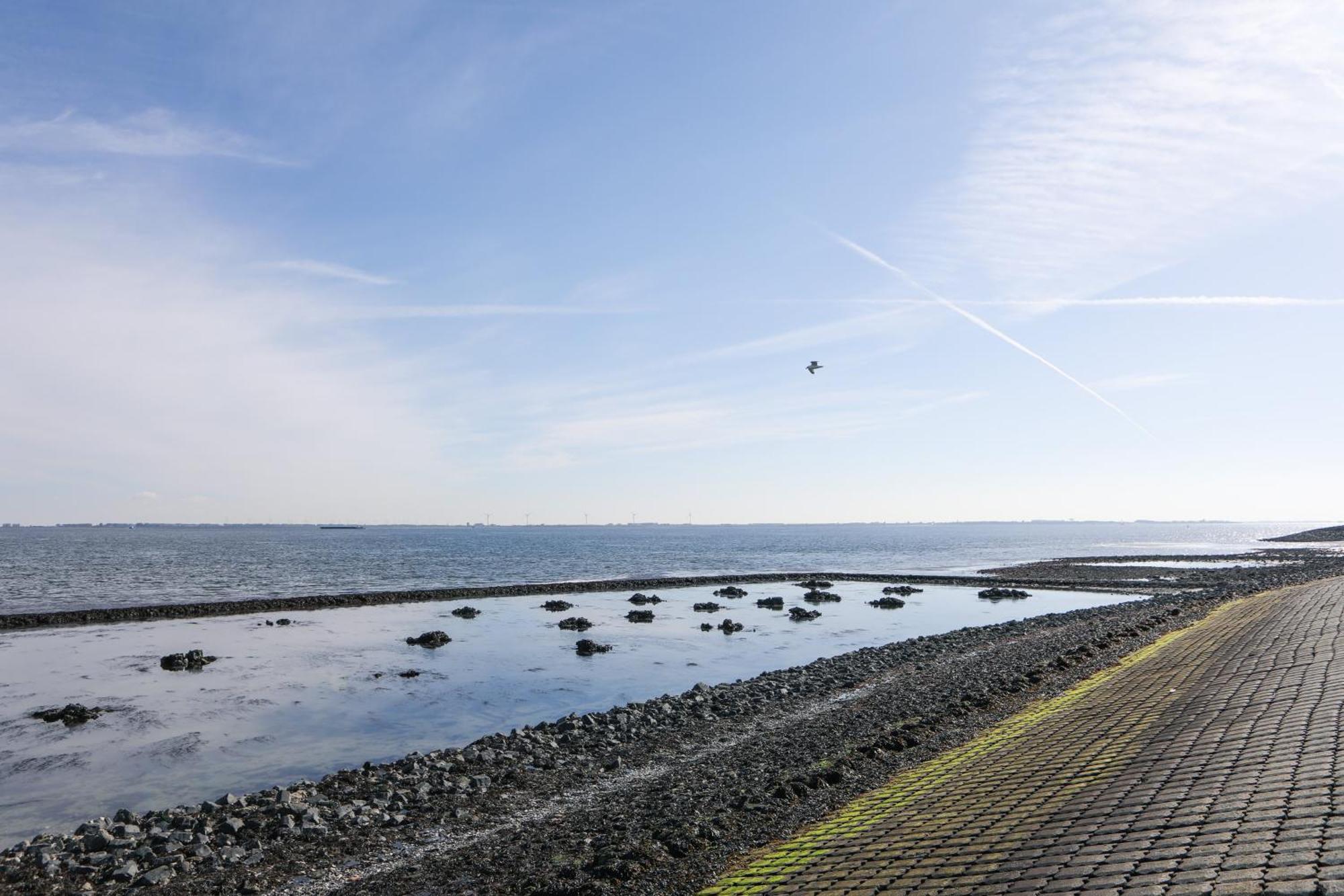 Strand Appartementen Wemeldinge Kültér fotó